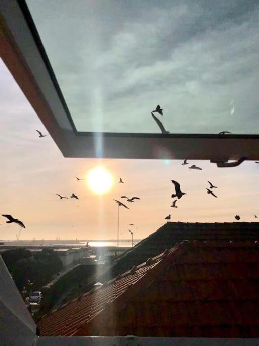 Lobo Do Mar Matosinhos Beach Loft المظهر الخارجي الصورة